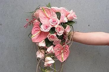 Orkideenn — photo 2