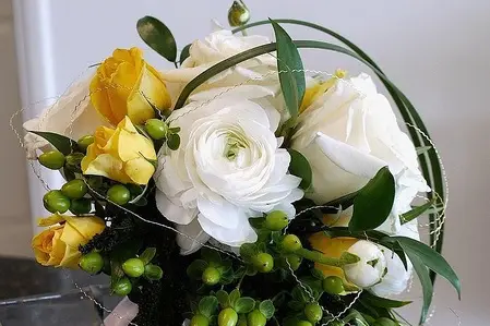 Orkideenn — photo 6