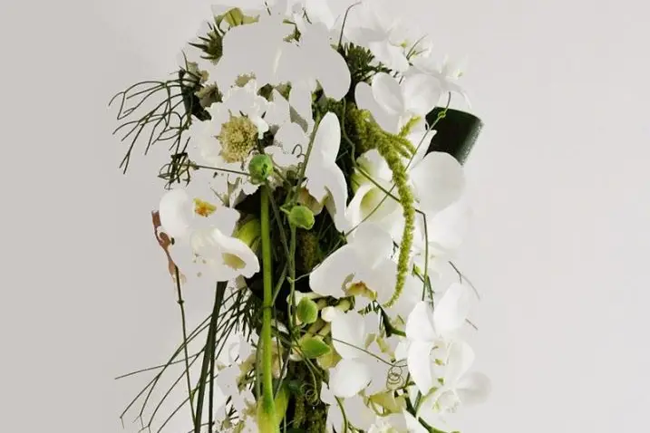 Orkideenn — photo 5