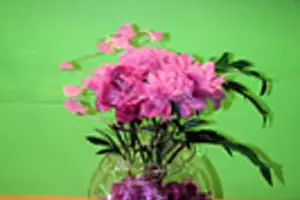 A Fleur d'Eau — photo 4