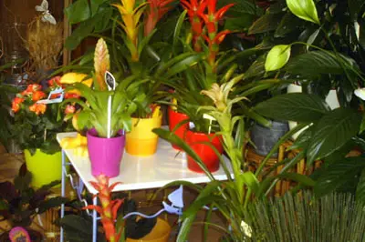 A Fleur d'Eau — photo 2