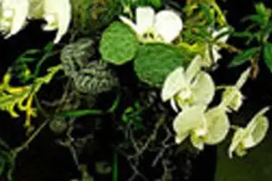 A Fleur d'Eau — photo 5