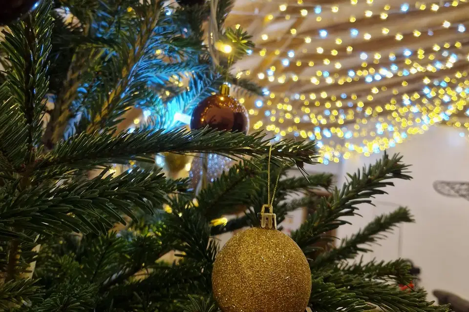 L'Amevenementiel — photo 3