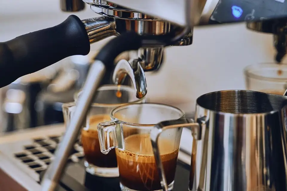 The Last Cup — photo 8