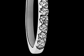 Destrez - Harenger — photo 4