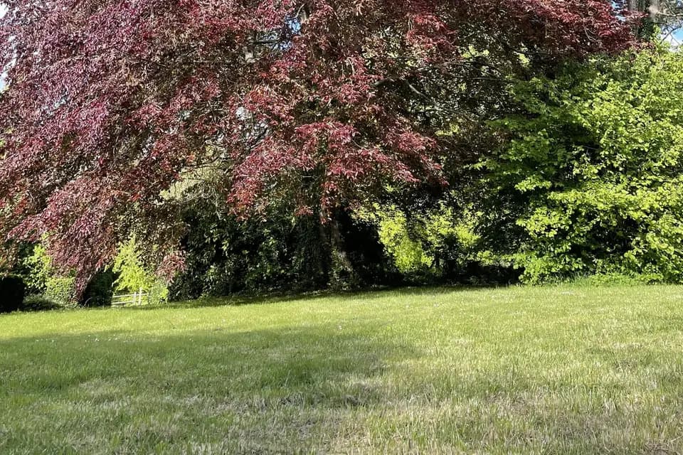 Abbaye de Saint Victor — photo 5