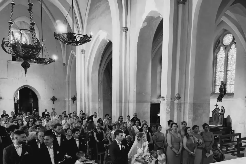 Neko Media — photo 3