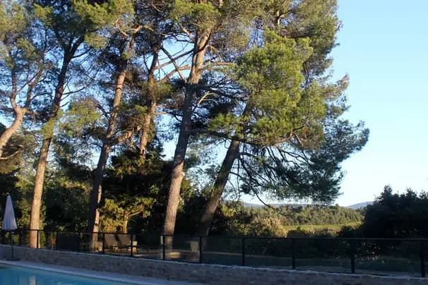 Les Cabanes Dans les Bois — photo 6