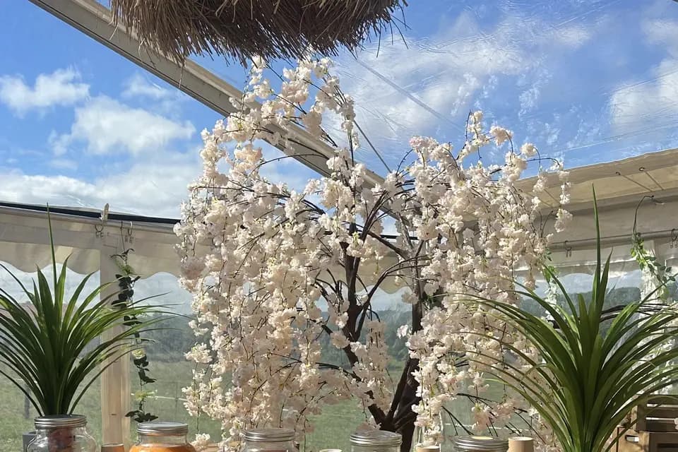 Agence Feeling — photo 7