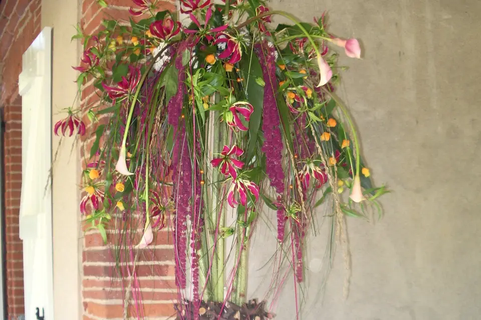 Daus Kruchen Muriel — photo 3