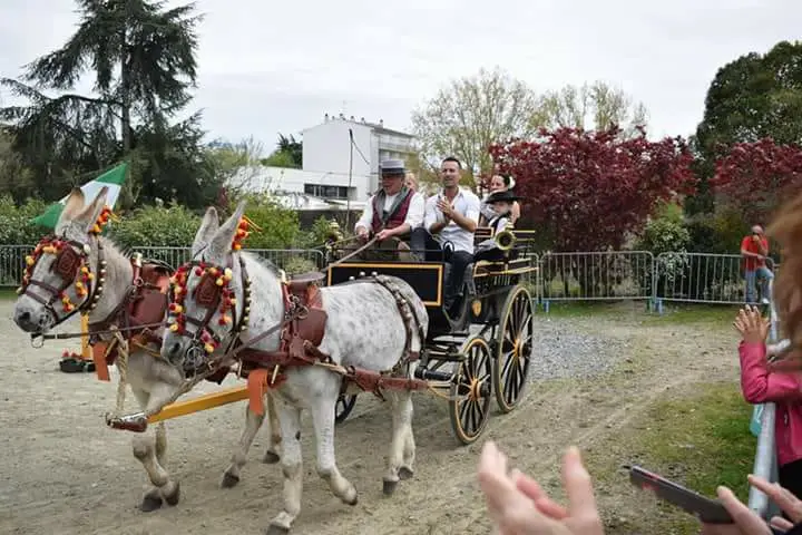 Del Campo a la Plaza — photo 6