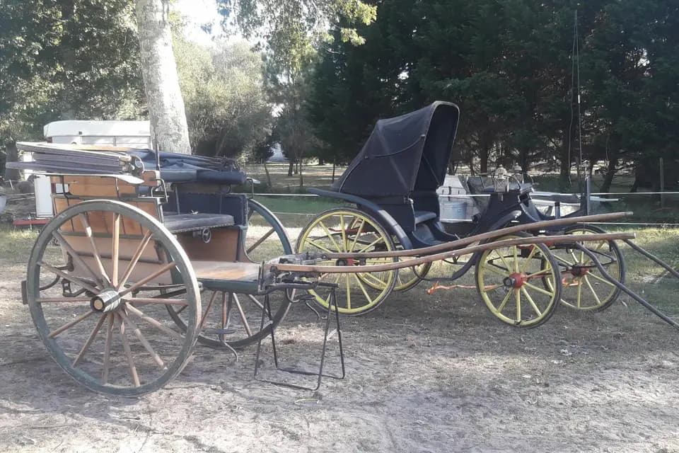 Del Campo a la Plaza — photo 5