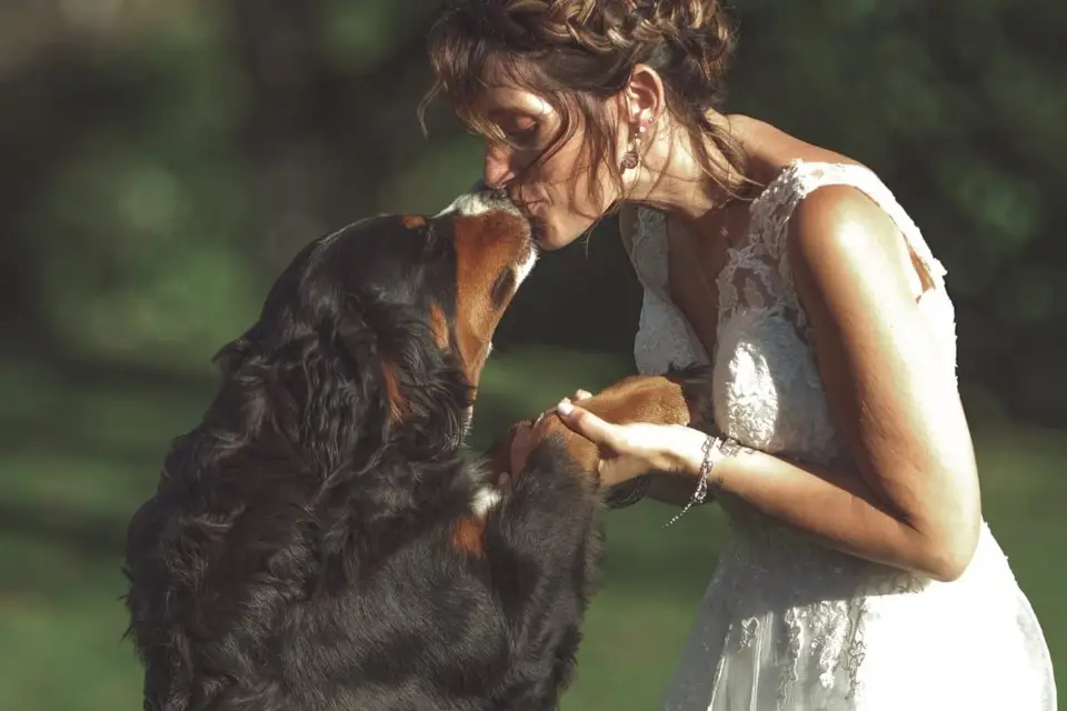 Les Photographies d'Anaïs — photo 8