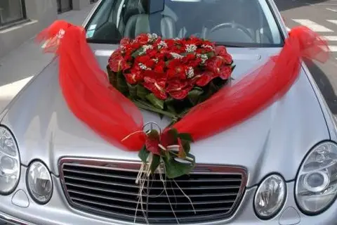 Claude Fleuriste — photo 4