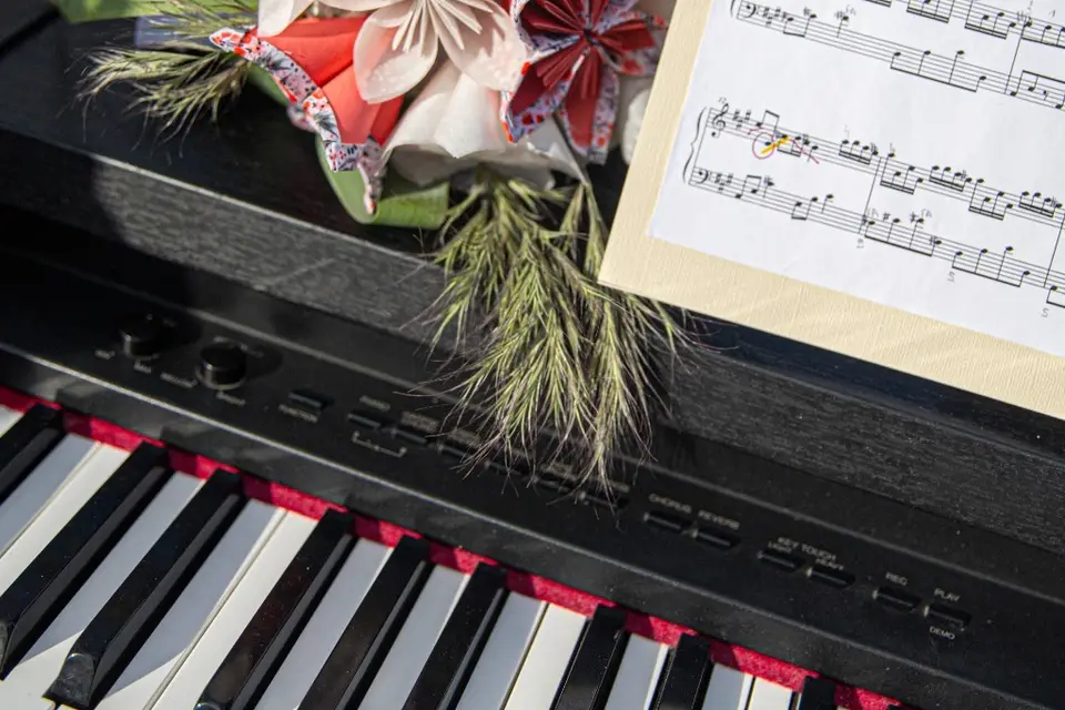 HappyZoom — photo 5