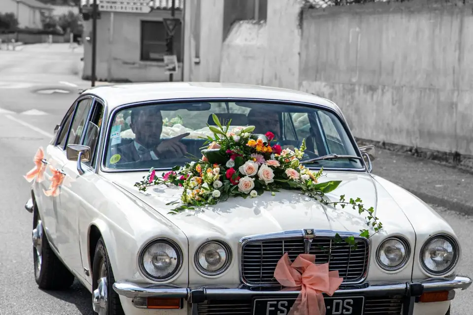 HappyZoom — photo 1