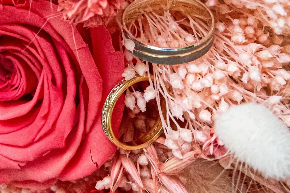 HappyZoom — photo 2