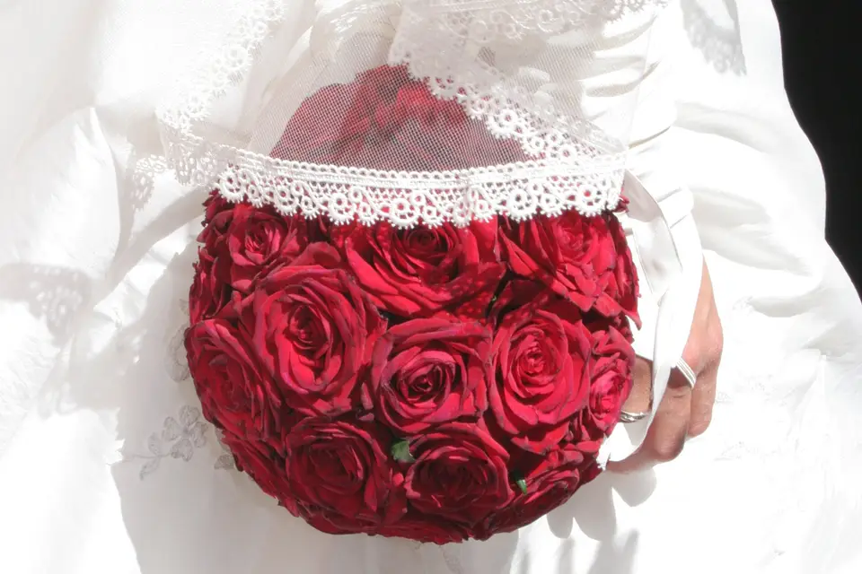 Id Photo Nice — photo 1