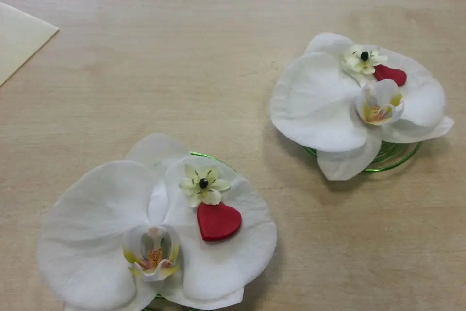 L'Ile aux Marguerites — photo 5