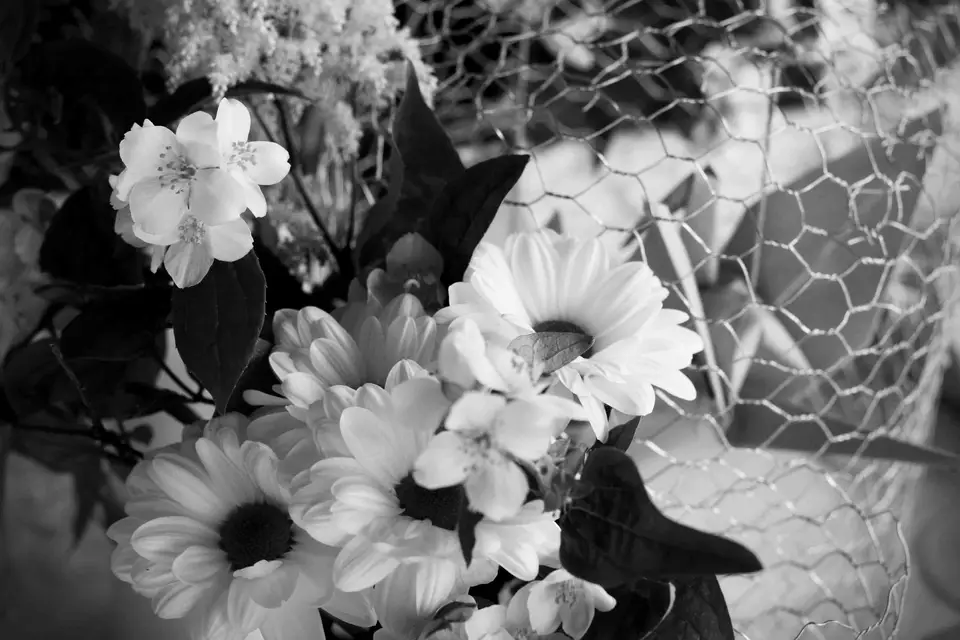 1, 2, 3, nous irons... — photo 1