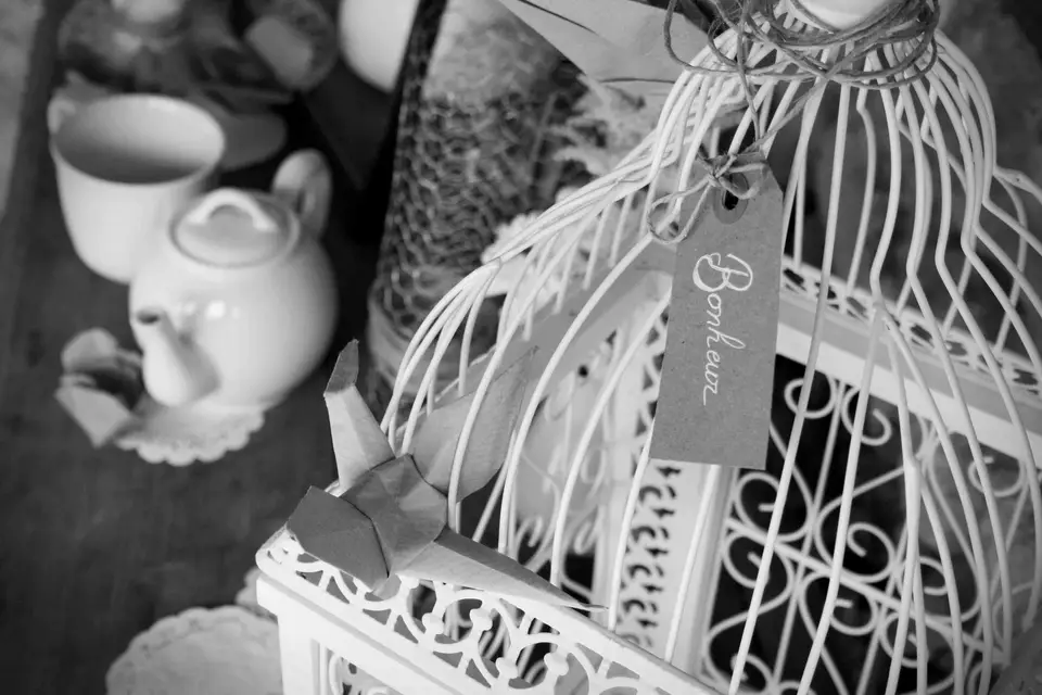 1, 2, 3, nous irons... — photo 2