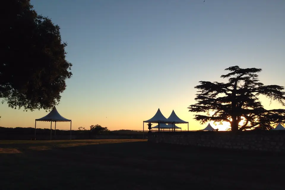 Château du Fou — photo 4