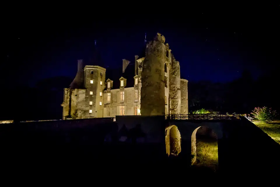 Château du Fou — photo 3