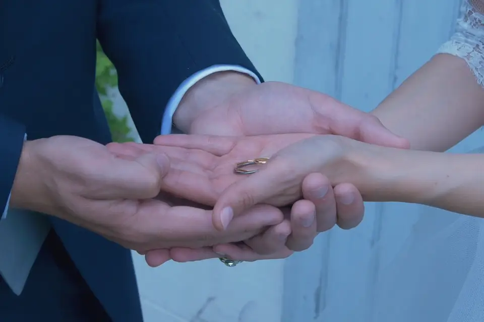 Melting Films — photo 8