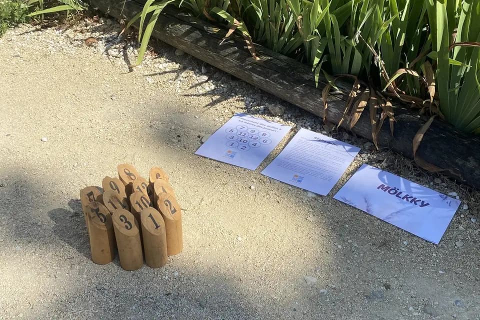 Dom Jeux — photo 7