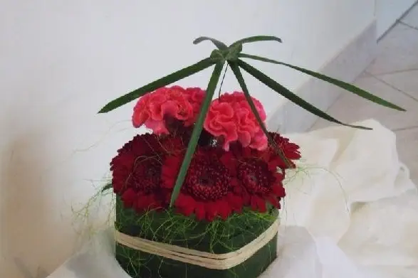 Raconte Moi Une Fleur — photo 6