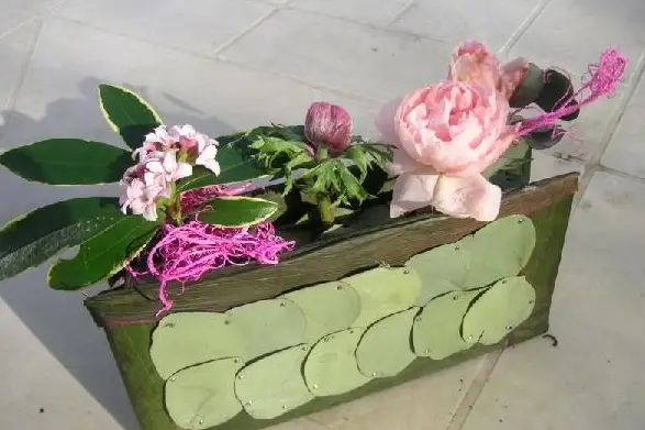 Raconte Moi Une Fleur — photo 5