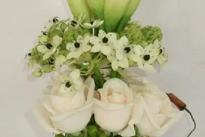 Raconte Moi Une Fleur — photo 2