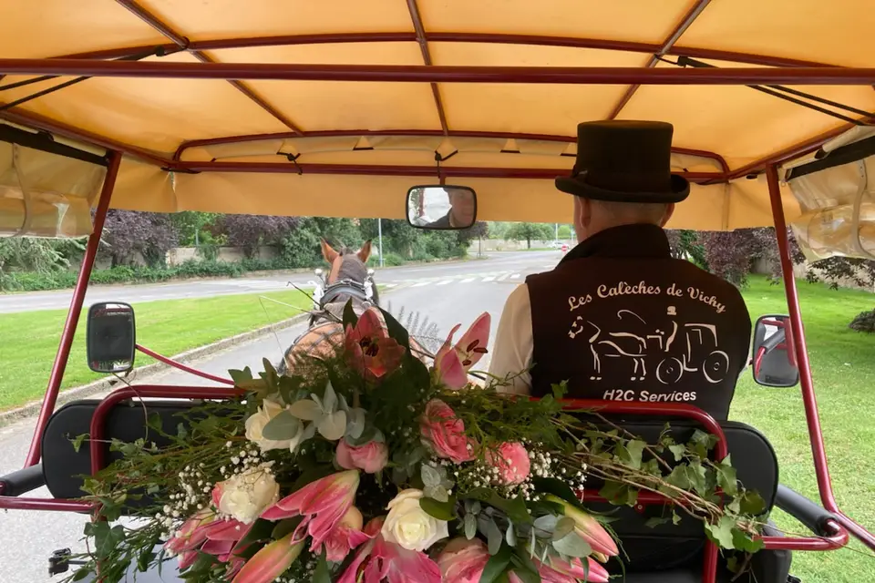 Les Calèches de Vichy — photo 1