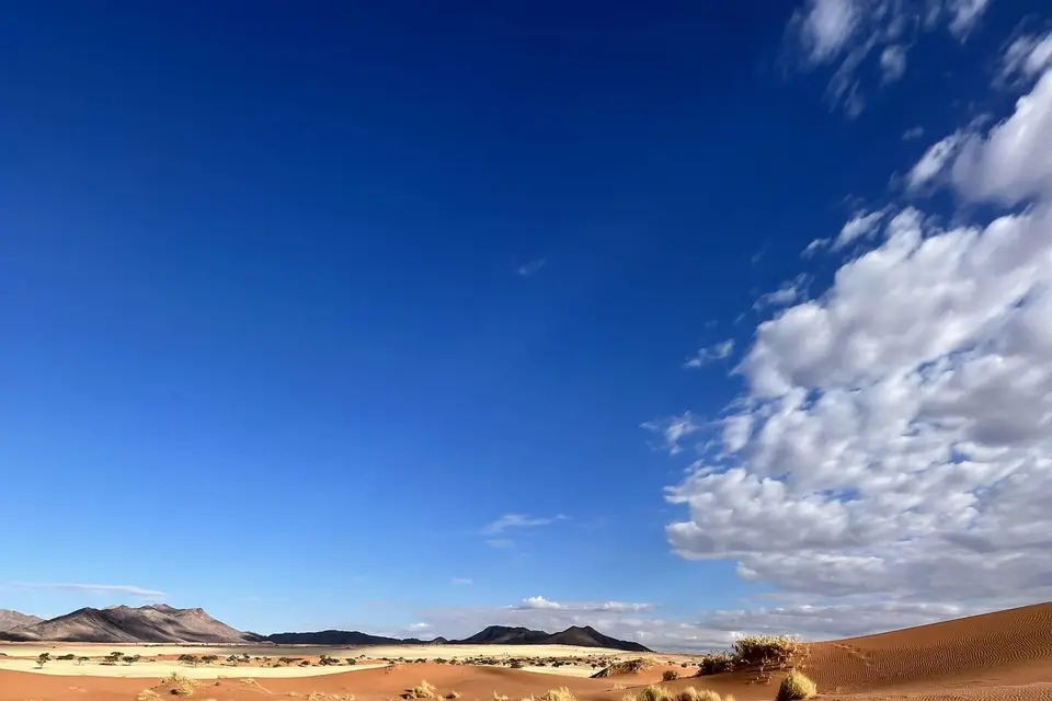 Tongs and Co — photo 7