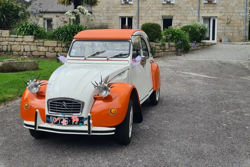 Sophie Cornec — photo 4