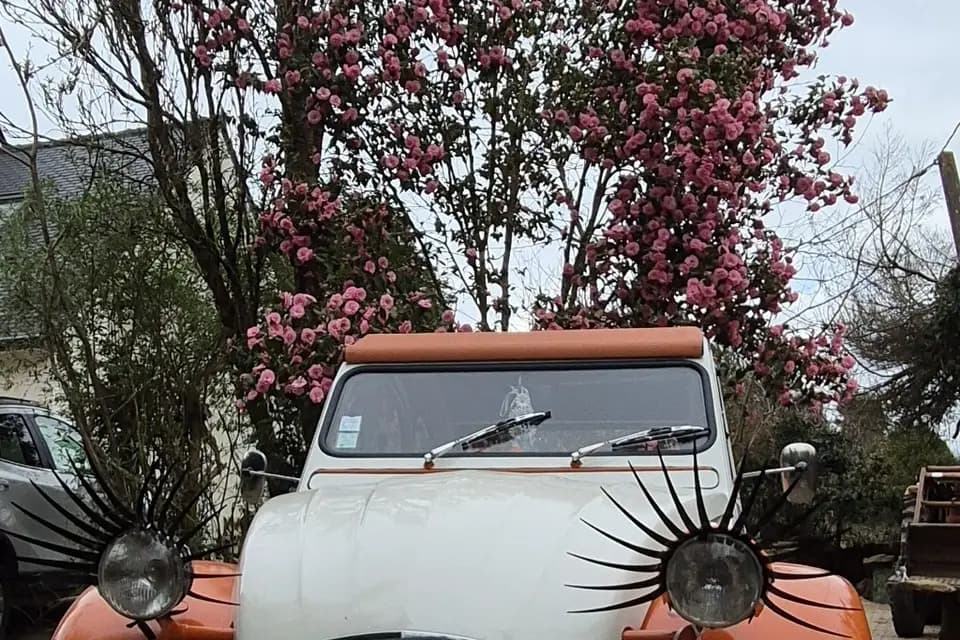 Sophie Cornec — photo 5