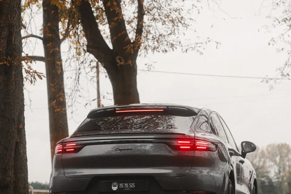 Nemesis Location — photo 4