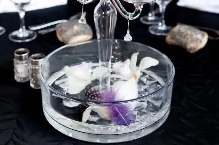 Cocoon Event — photo 5