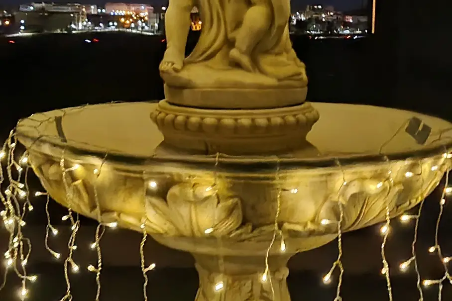 Domaine des Hautes Vignes — photo 9