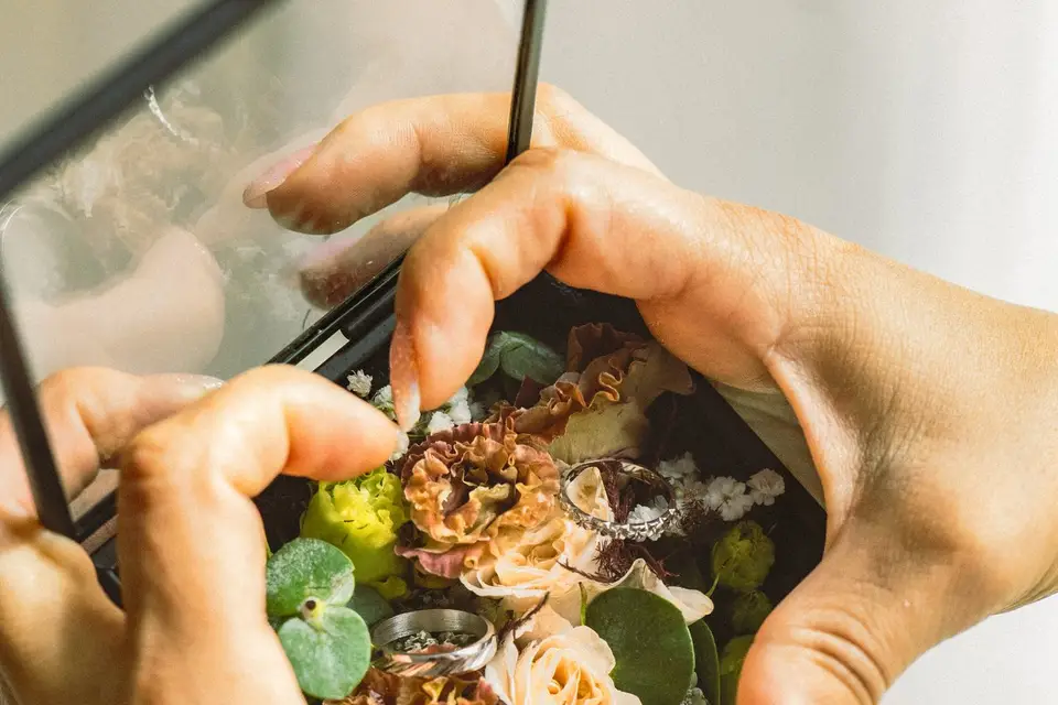 Reste Focuss — photo 1