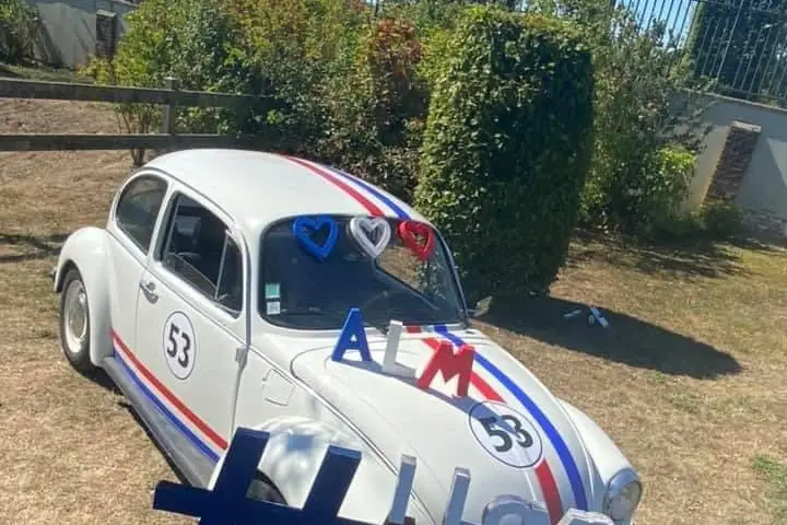 Sport Formation — photo 6