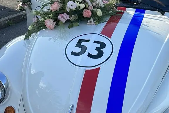 Sport Formation — photo 3