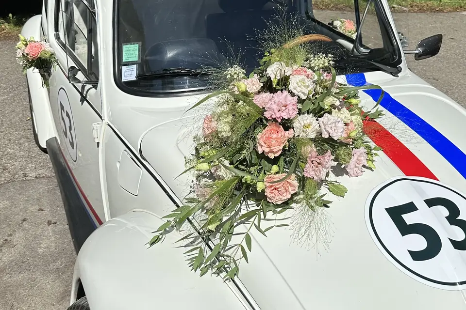 Sport Formation — photo 1