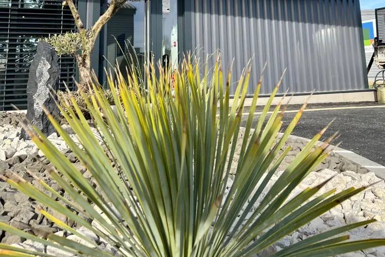 Le Recept' — photo 8