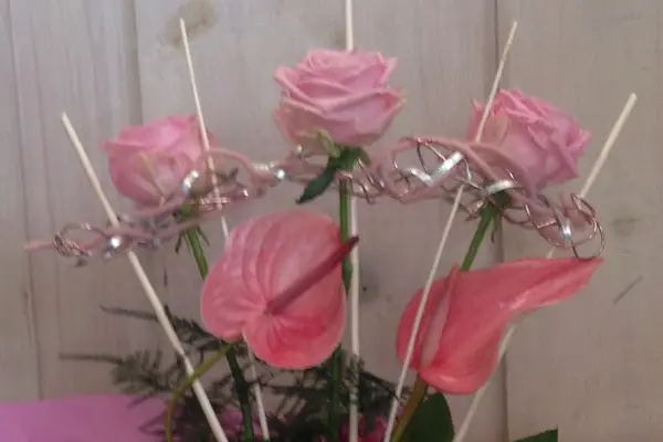 Pom' Cannelle — photo 1