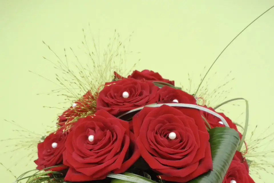 Tentations Fleurs — photo 8