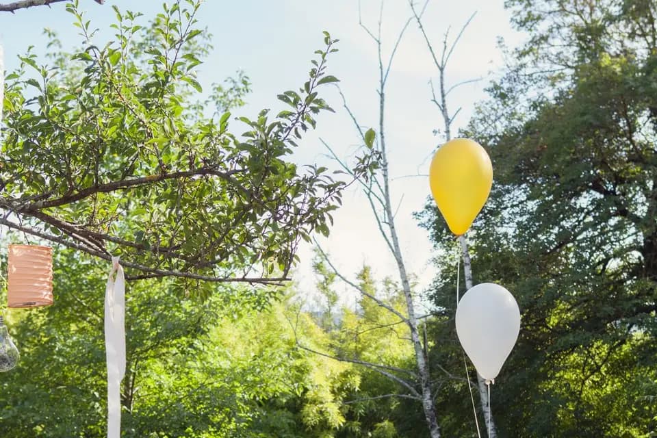 Les Comètes — photo 4