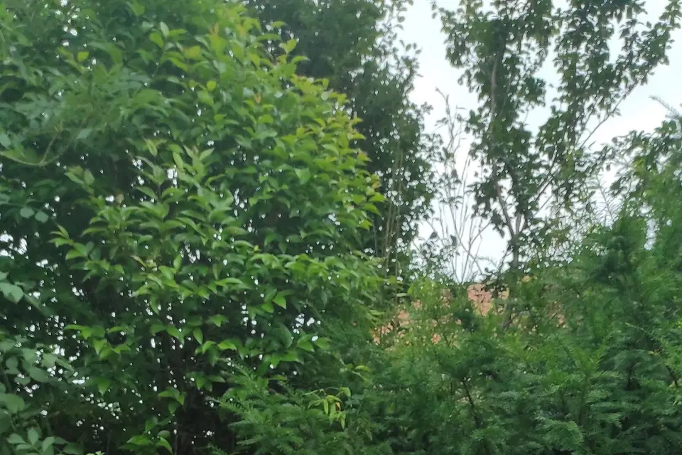 Axelle Guiot/Leconte — photo 7