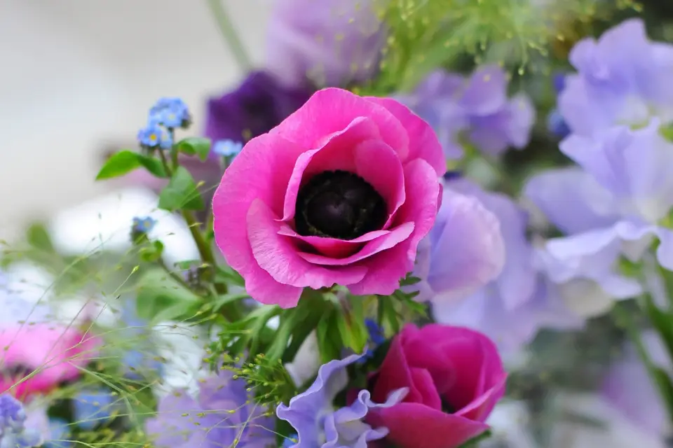 De Fleurs et d'Eau Fraîche — photo 3