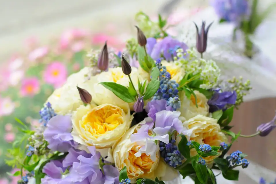 De Fleurs et d'Eau Fraîche — photo 1